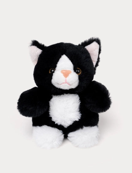 Teddy gatos