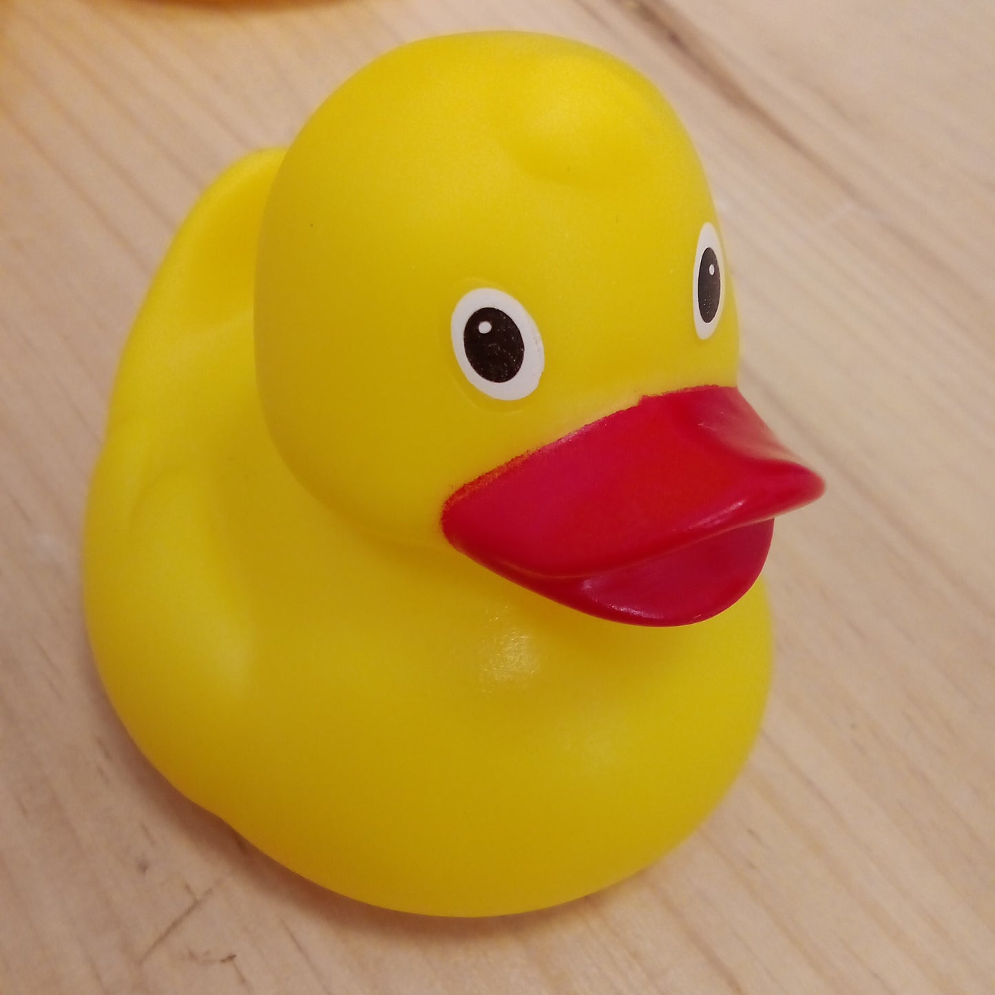 Patito bañera
