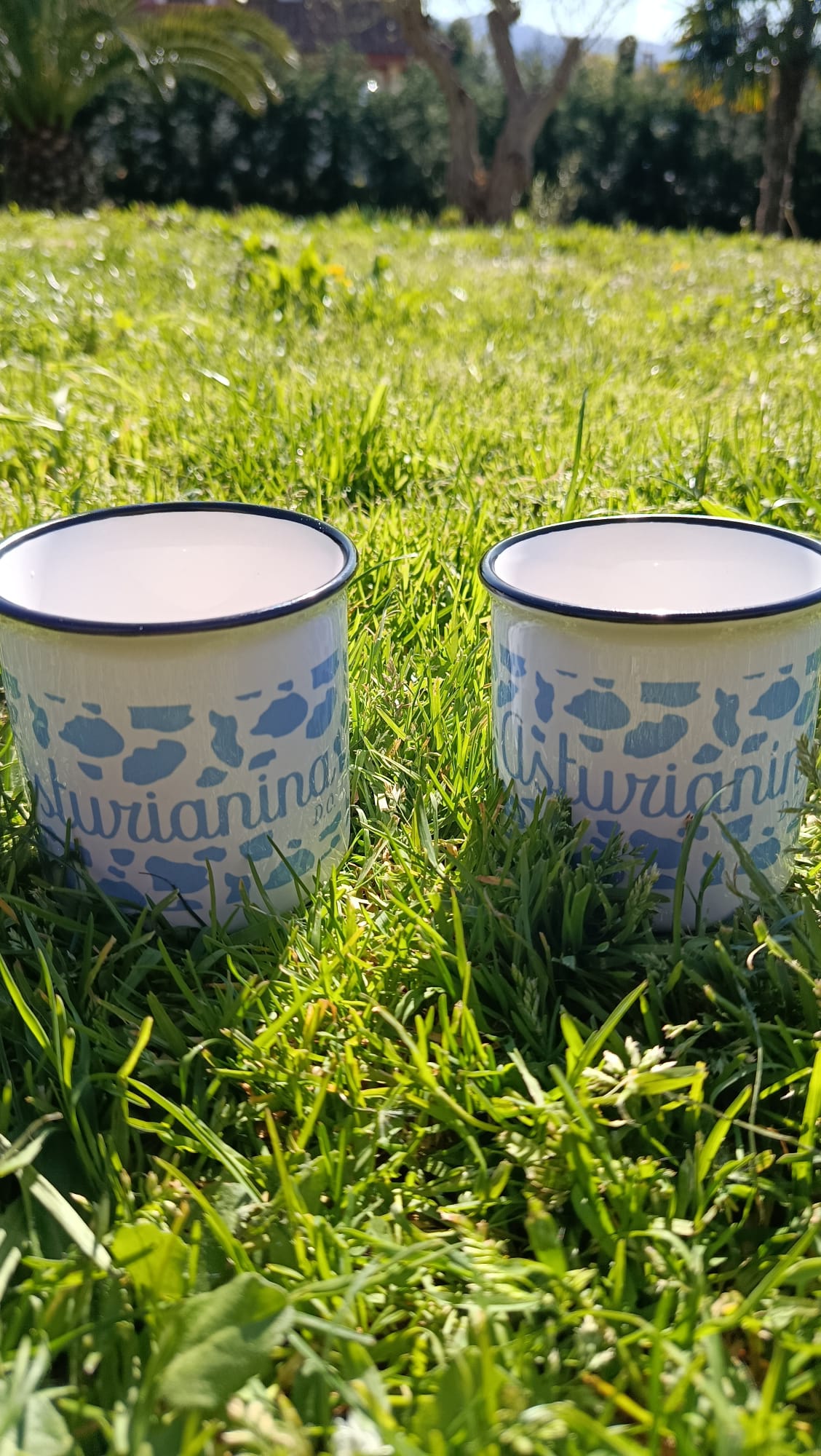 Taza asturianín