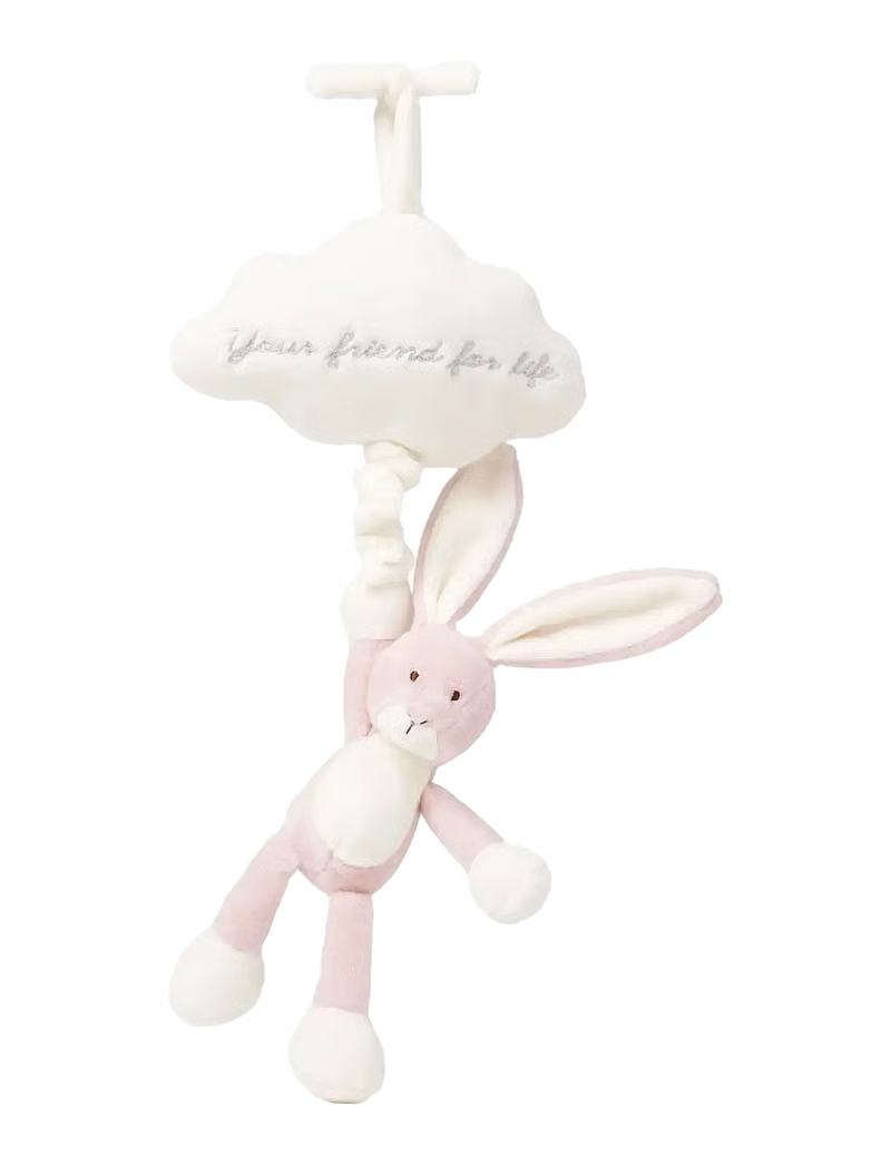 Caja musical nube y conejito