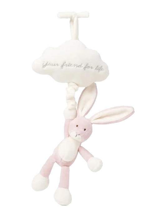 Caja musical nube y conejito