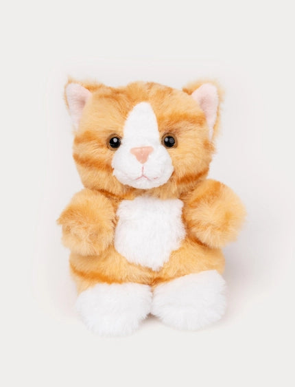 Teddy gatos