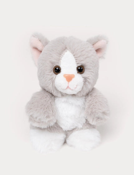 Teddy gatos