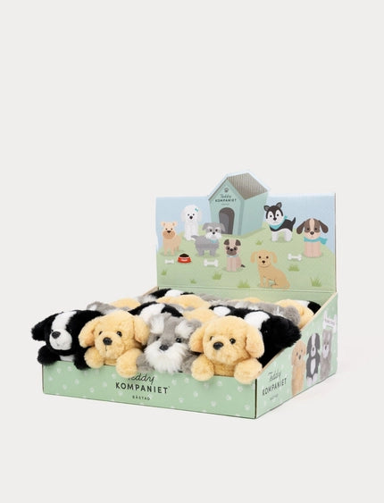 Teddy perros