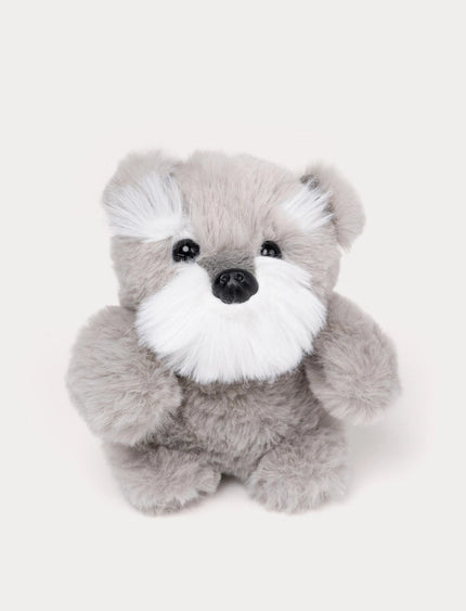 Teddy perros