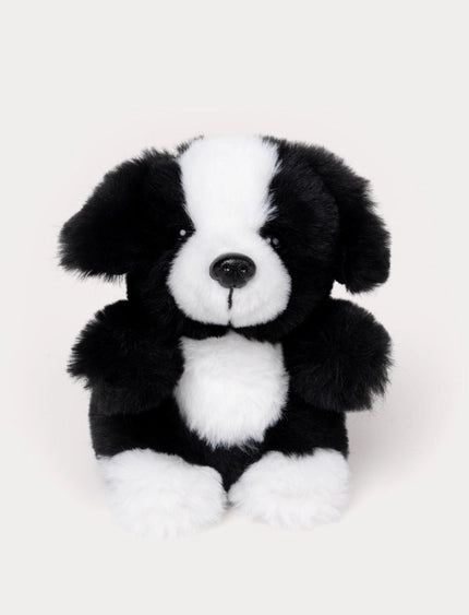Teddy perros