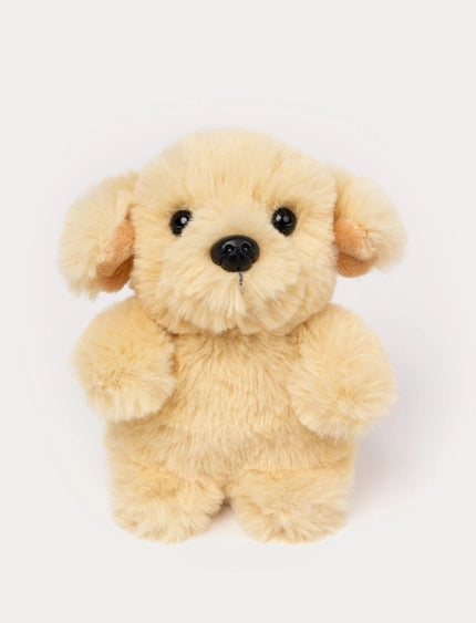 Teddy perros