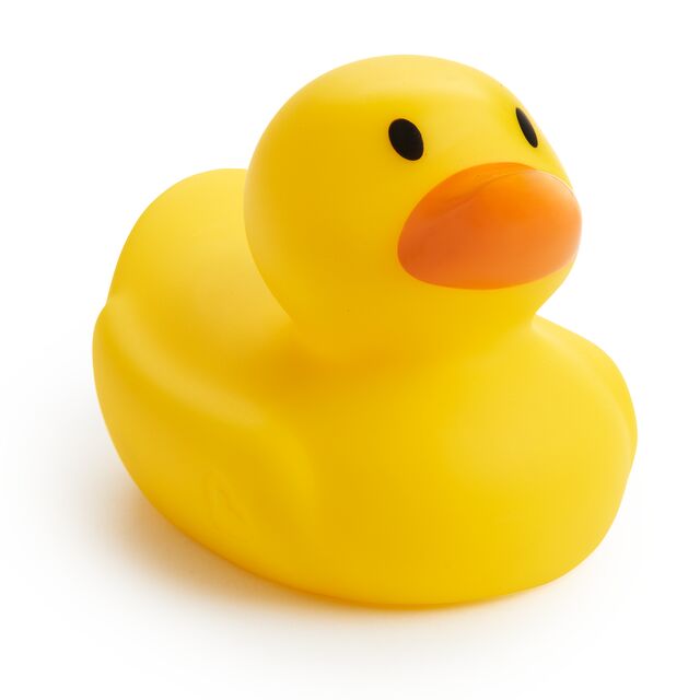 Pato termómetro